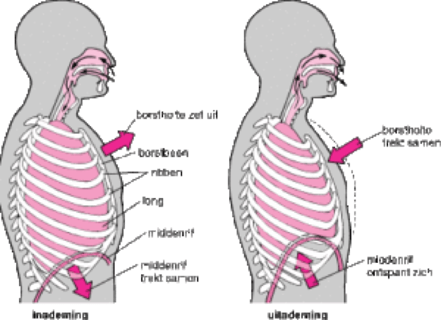 Hyperventileren door stress