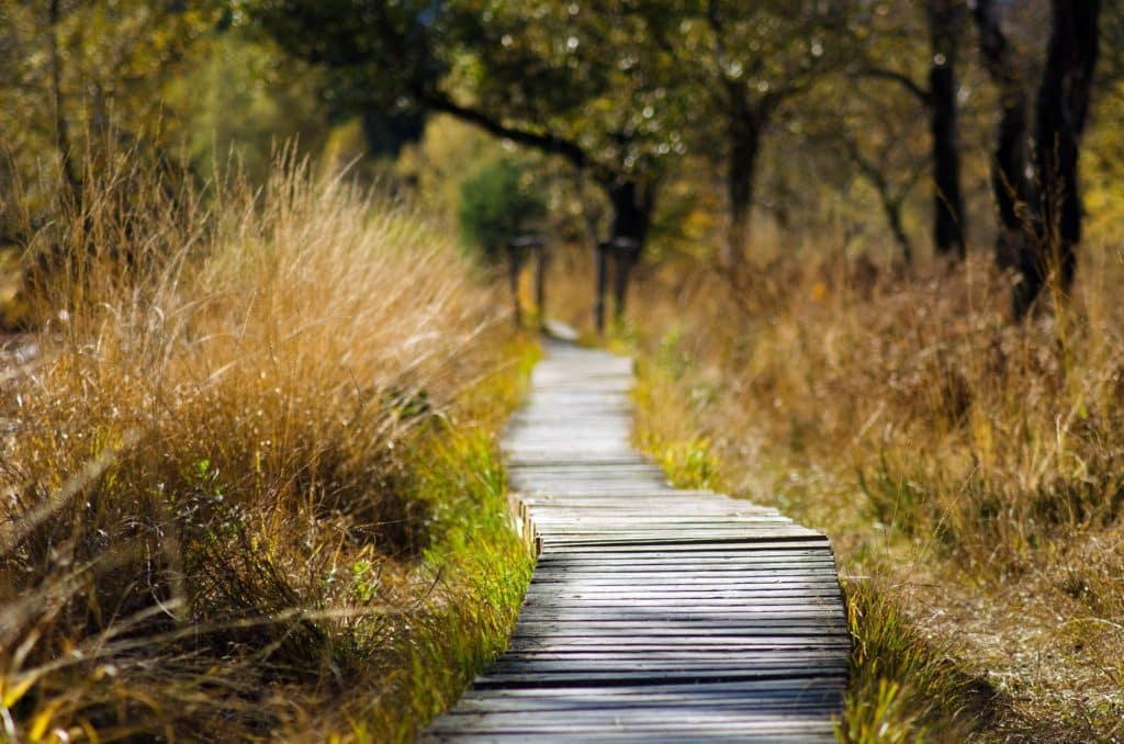 Depressie door stress