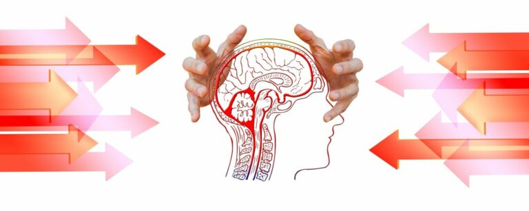 Hoe werken stresshormonen? - Een schematisch overzicht