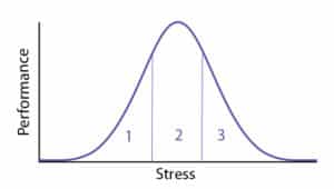 Meer presteren met minder stress