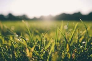 allergische reactie stress