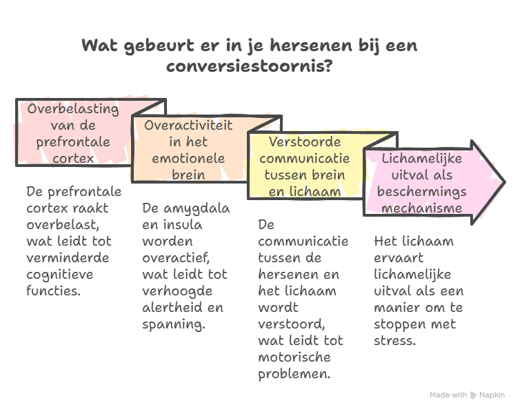 Wat gebeurt er in je hersenen bij een conversiestoornis - ruudmeulenberg
