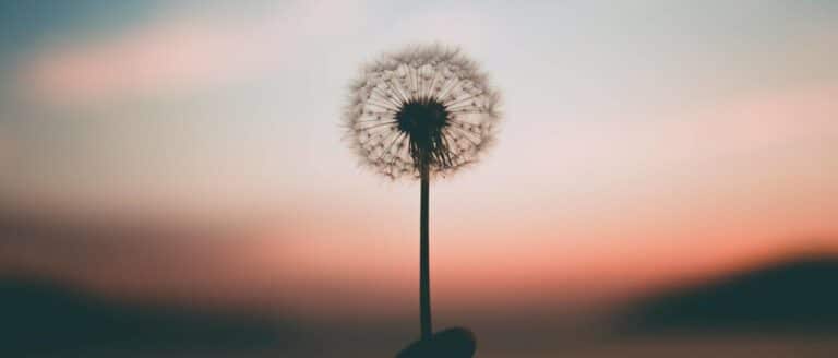 Het nut van mindfulness bij stress en burn-out