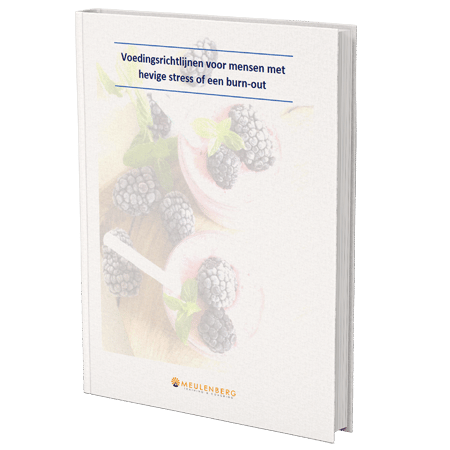 Download het e-book: voedingsrichtlijnen voor mensen met hevige stress of een burn-out