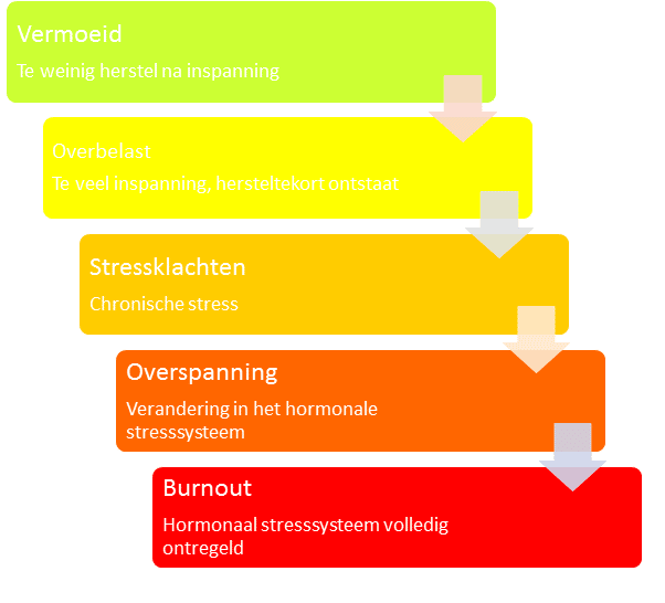 Medewerker overbelast, overspannen of burnout?