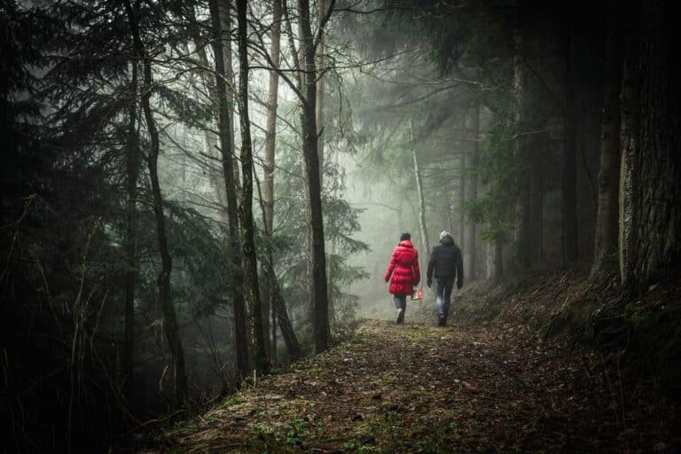 wat is een wandelcoach
