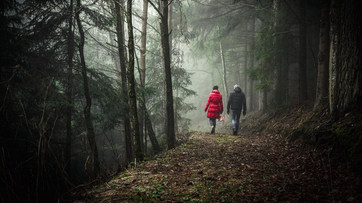 wandeling in het bos als rust moment is een voorbeeld van selfcare