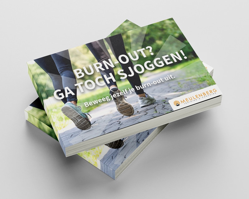 Download E-Book ga toch sjoggen