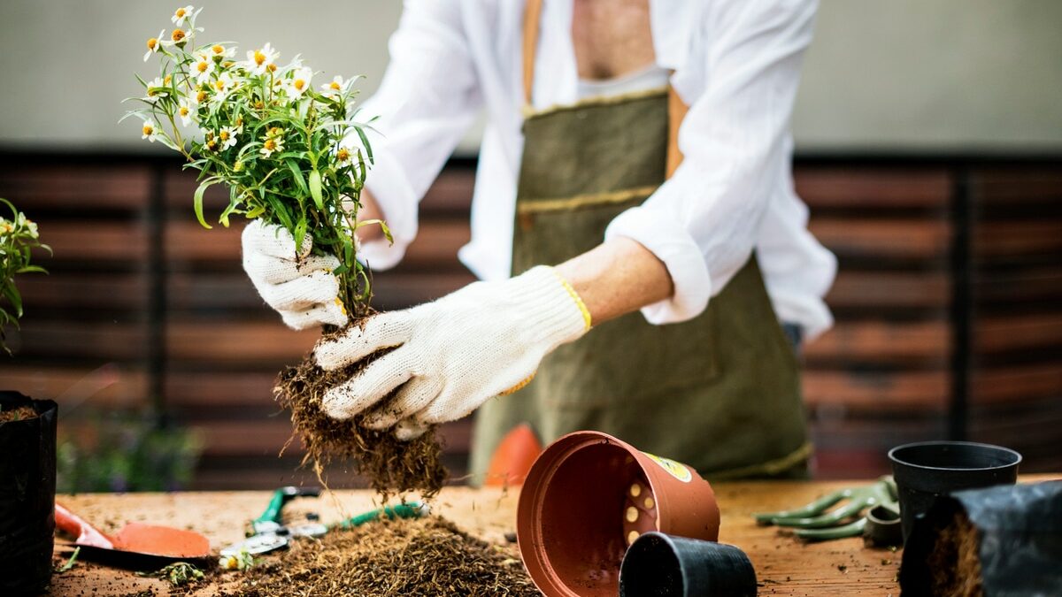 Hoe kan Iets eenvoudigs als tuinieren helpen om de stress terug te dringen?